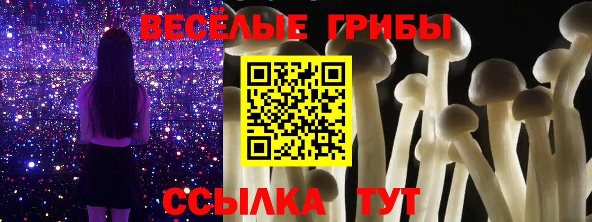 Псилоцибиновые грибы MAGIC MUSHROOMS  Вход с VPN  Луховицы 